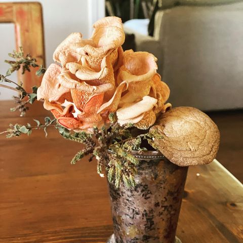 Dried mushrooms as flower arrangements are so pretty. Thanks @yasminemei for the inspiration. And thanks @mightycapmushrooms for the beautiful delicious product.