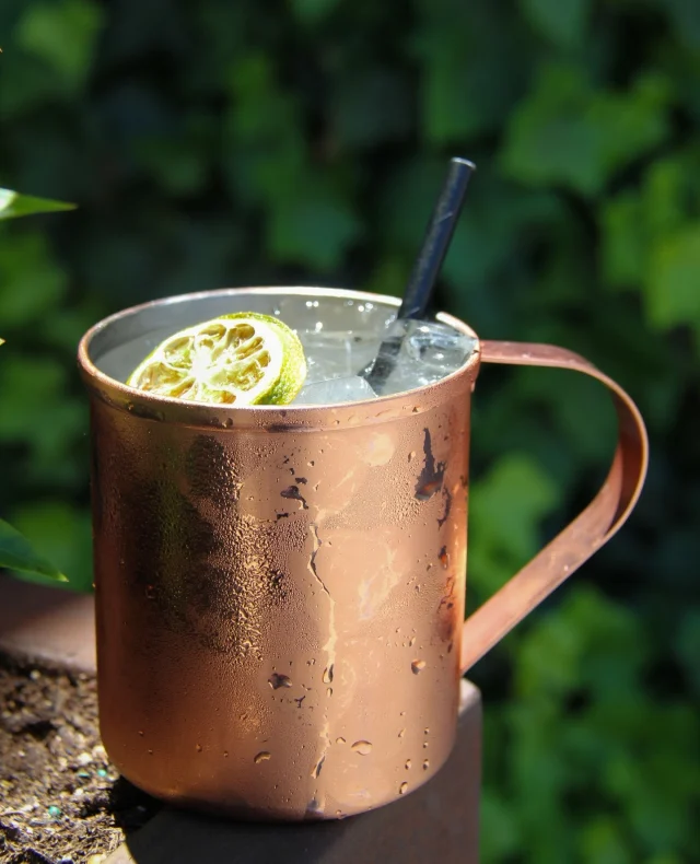 Unleash your inner mixologist with our Moscow Mule Cocktail Making Kit. Featuring premium Tin City Vodka, artisanal ginger beer, a copper mug, and all the essentials—it&#039;s the perfect pairing for your tacos. Sip, savor, and spice up your evening!