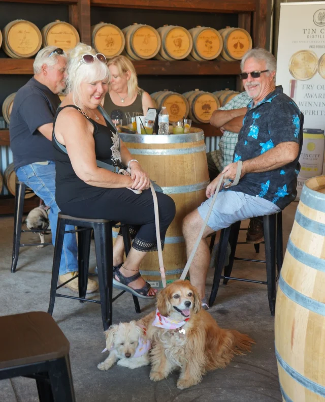 Warm up your night with Tin City before the @bhbc concert! We’re open till 6 PM — the perfect pregame stop, just a quick walk from the stage.⁠
⁠